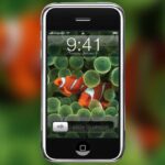 Dėl mažėjančio gimstamumo JAV galite kaltinti „iPhone“.